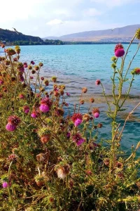 Lake sevan